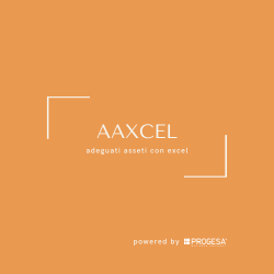 AAxcel: gli Adeguati Assetti con excel&#174;