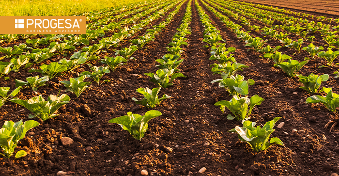 FONDO PER L'INNOVAZIONE nei settori dell’agricoltura, della pesca e dell’acquacoltura