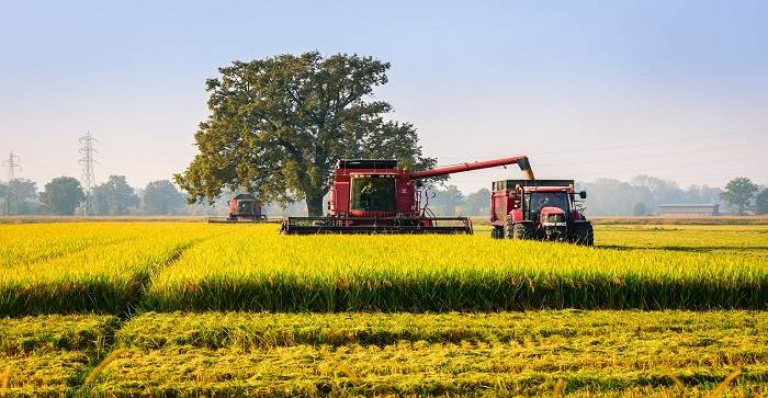 Veneto: Covid-19 – Finanziamenti agevolati per le imprese agricole