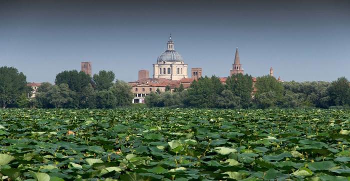 Mantova: Contributi alle imprese del cratere sismico del 2012