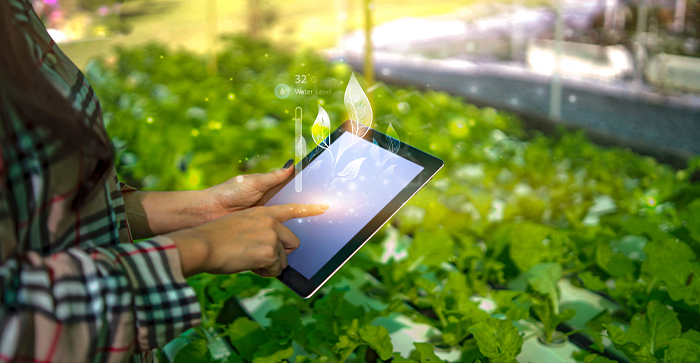 Regione Veneto: contributi per l'Agroindustria 2026