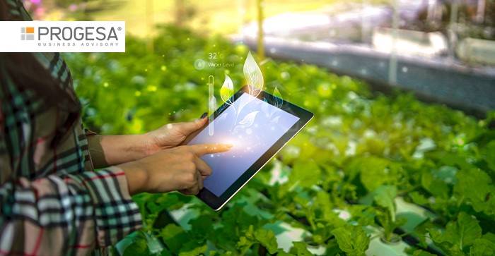 Regione Veneto: contributi per l'Agroindustria 2026