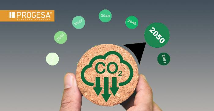 Decarbonizzazione: da obbligo morale a realtà giuridica. Le sanzioni sono già realtà