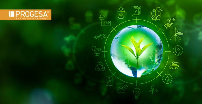 Nuovi standard ESRS semplificati: cosa cambia per le imprese e come Econup® può supportare la transizione