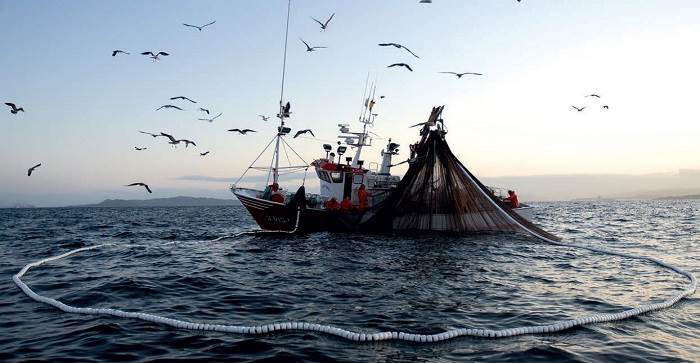Lombardia: contributi a fondo perduto per nuove imprese attive nella trasformazione dei prodotti della pesca e dell'acquacoltura