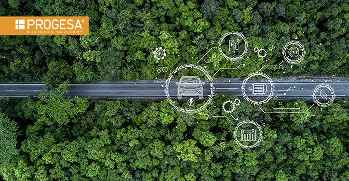 CCIAA CR-MN-PV: SERVIZI PER LA TRANSIZIONE ECOLOGICA 2025